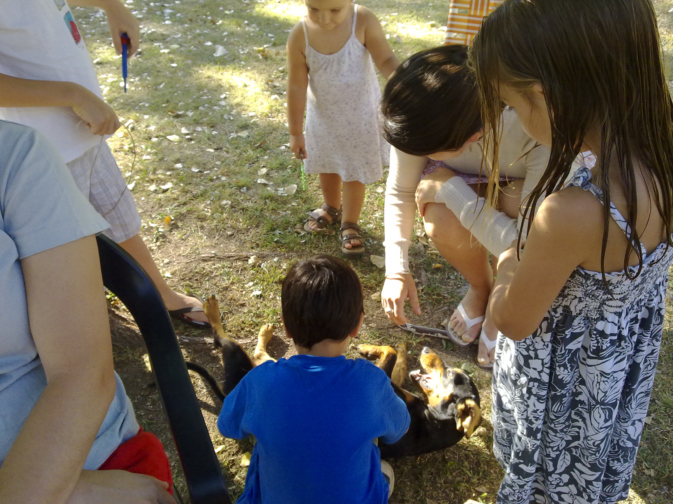 fotos/2011-01-23 - Los reartes/28012010108.jpg